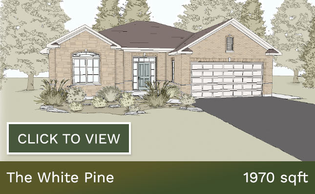 The White Pine home illustration