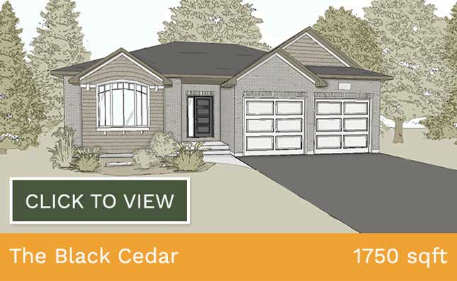The Black Cedar home illustration