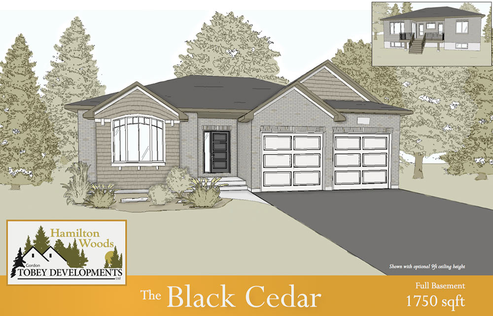 The Black Cedar home illustration with the information "Full Basement 1750 square feet"